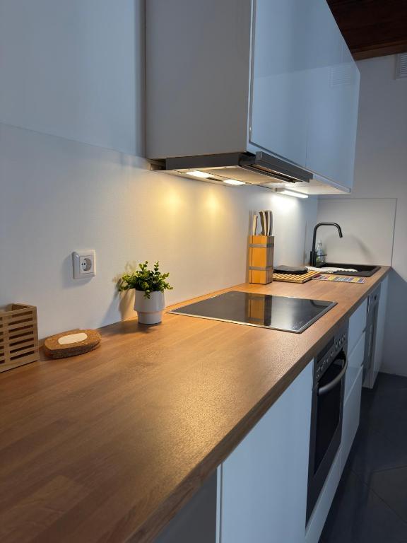 Ljubljana Center Apartments - Şehir Manzaralı Daire