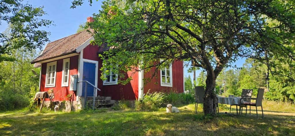 ein Hund sitzt vor einem roten Haus in der Unterkunft Idyllisches Landhaus mit Ruderboot, Südschweden in Vissefjärda