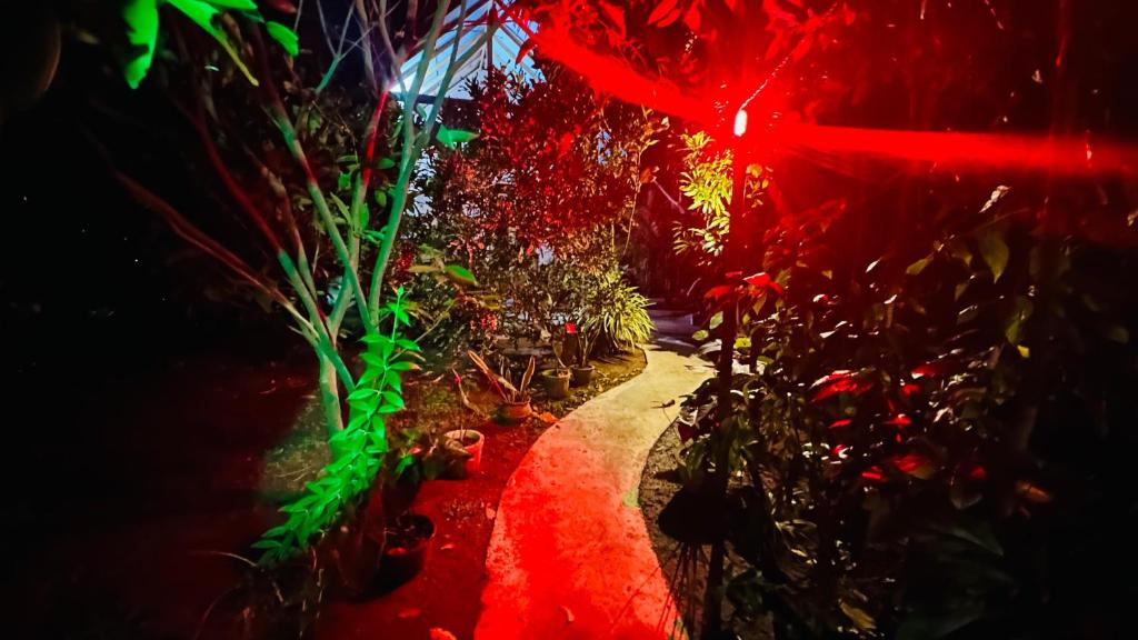 Fotografie z fotogalerie ubytování Ama Eco Lodge v destinaci Sigiriya