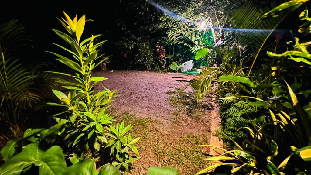 Zahrada ubytování Ama Eco Lodge