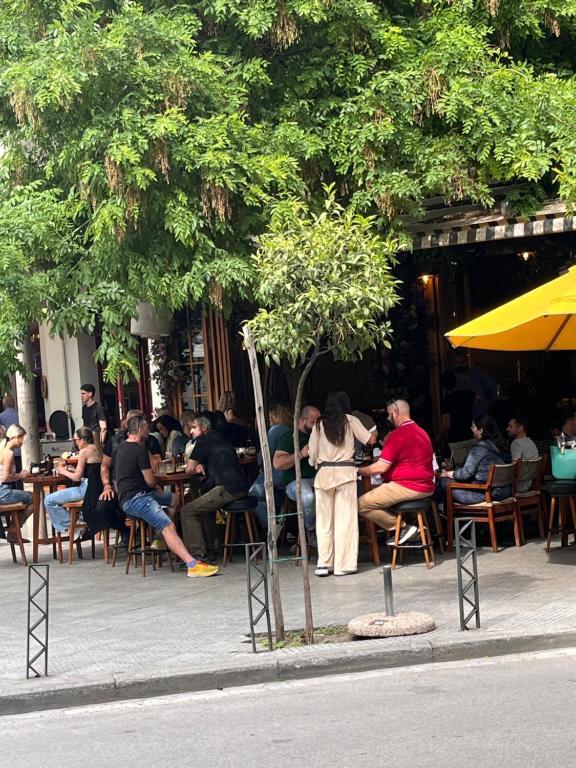 入住Mitropolews 55 apartment的客人