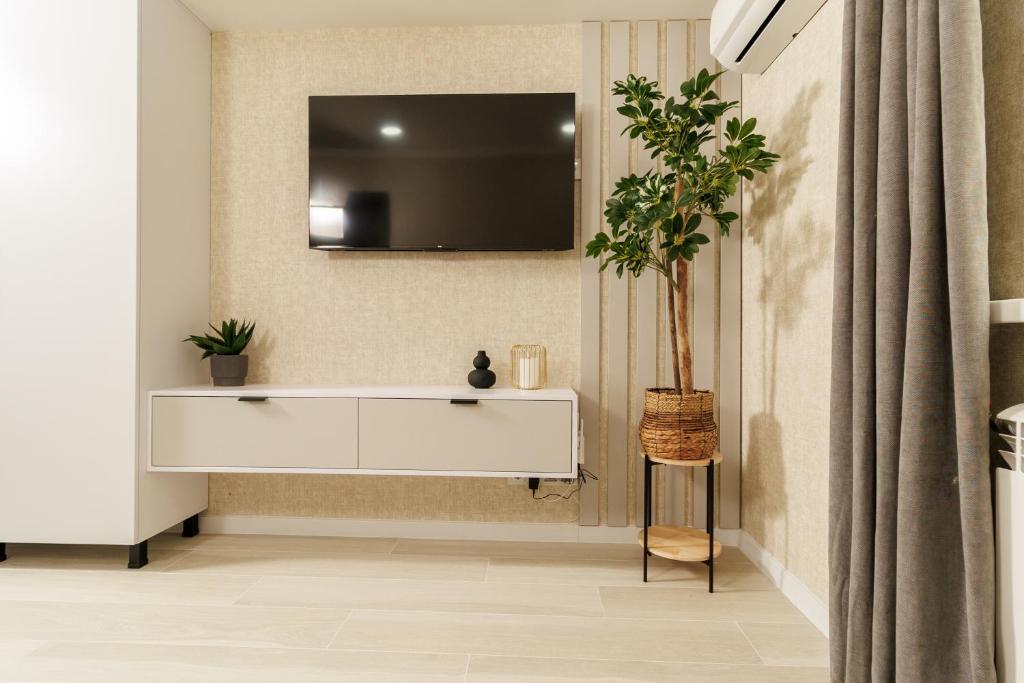 Μια τηλεόραση ή/και κέντρο ψυχαγωγίας στο Cozy Stay in the Heart of City 1BR and Living Extendable sofa