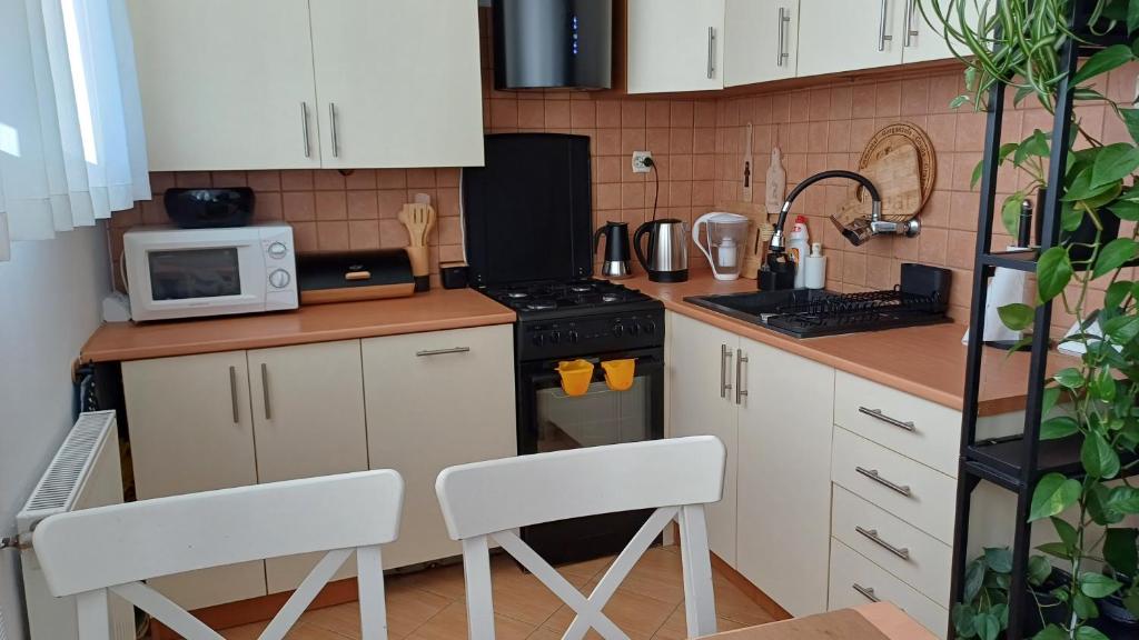 Kuchnia lub aneks kuchenny w obiekcie Rajska Apartament- Gdańsk
