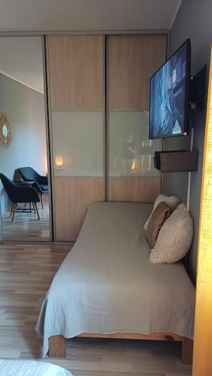 Telewizja i/lub zestaw kina domowego w obiekcie Rajska Apartament- Gdańsk