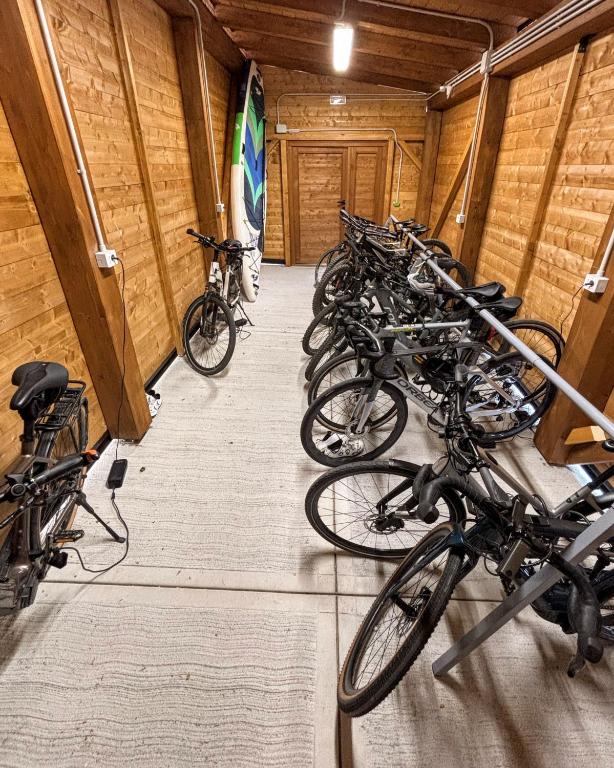 Jízda na kole v ubytování Hotel Ariston nebo okolí