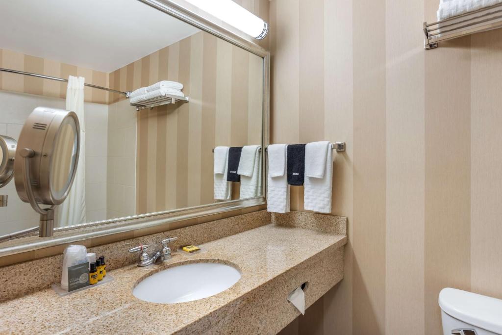Best Western PLUS University Park Inn & Suites photo