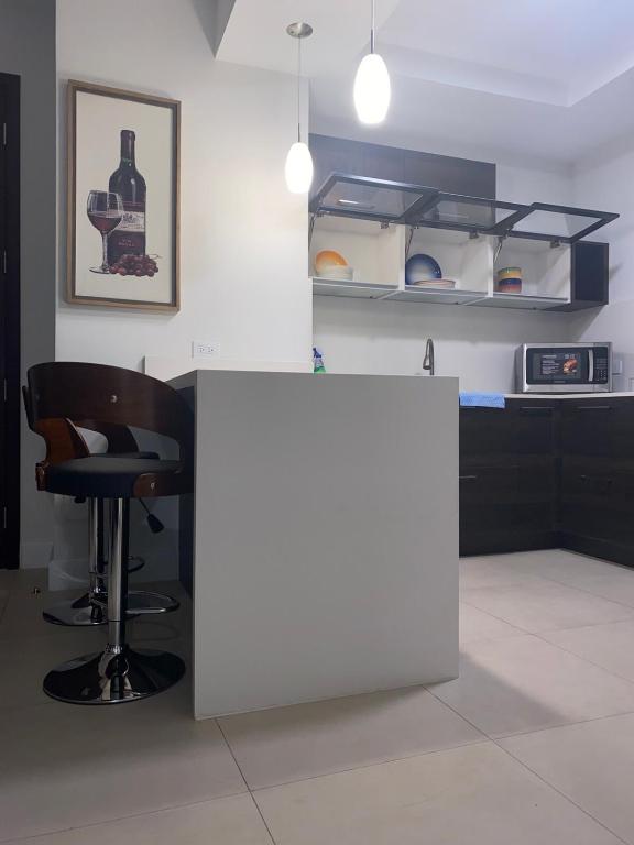 Kuchyň nebo kuchyňský kout v ubytování Parkhurst Suite