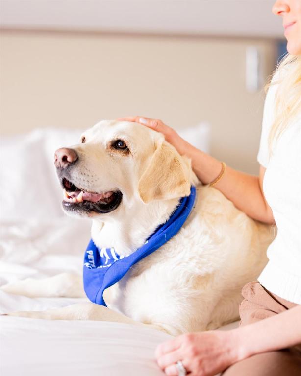 a woman petting a dog on a bed at Sonesta Atlanta Airport North in Atlanta