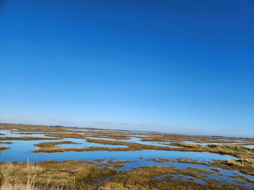 a marshy field with a blue sky in the background at Historic Retreat Near To Mersea Island in Peldon
