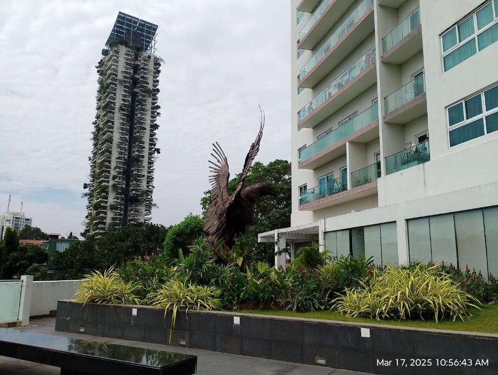 Image showcasing Woman Builds Off-Grid Villa in the Mountains in 210 Days - YouTube