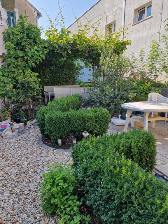 Zahrada ubytování Apartments Mali Raj