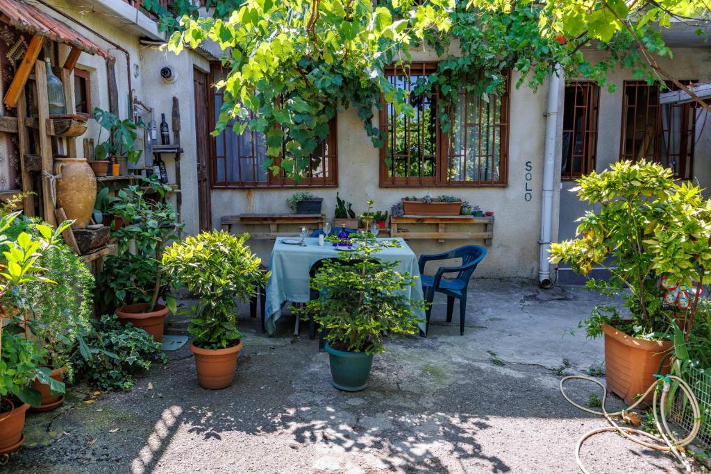 En have udenfor Only Flowers Girls Hostel