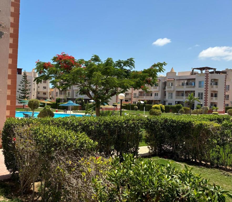 a park with bushes and trees and buildings at Marselia Beach 1 Camellia in El Alamein