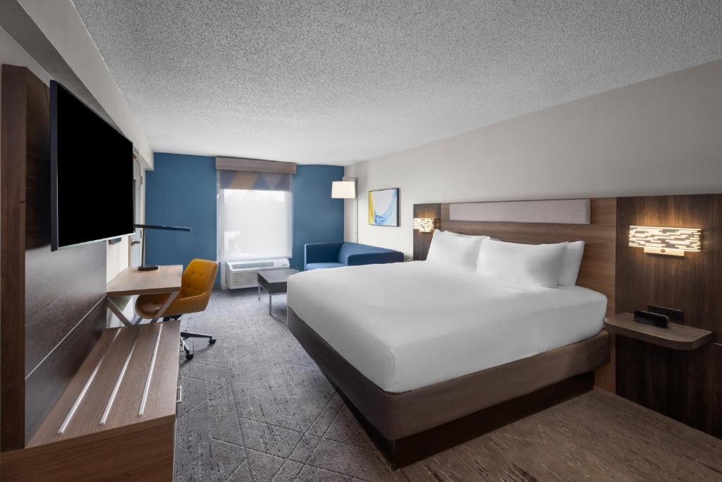 Holiday Inn Express Greenville by IHG - King Suite