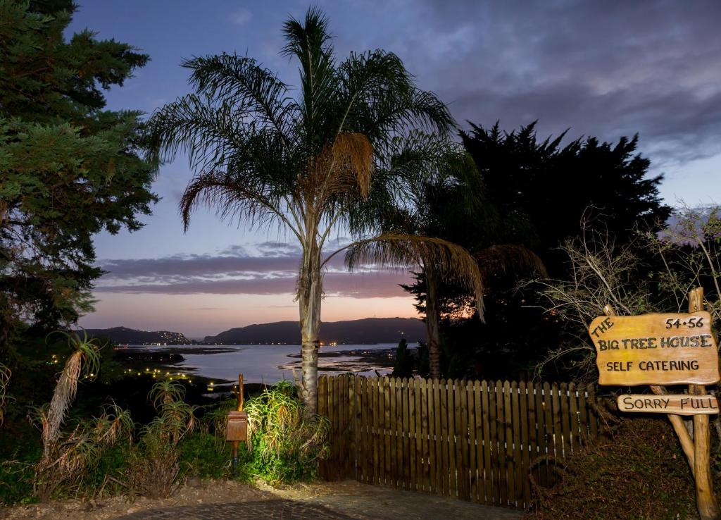 Big Tree House Lodge - Image 21