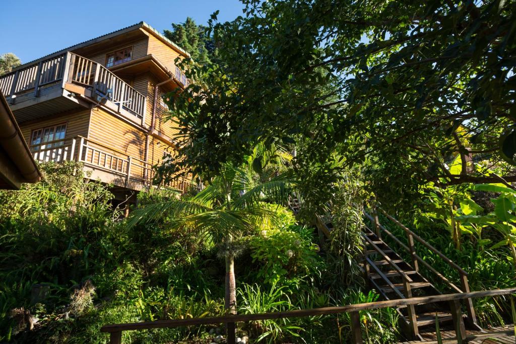 Big Tree House Lodge - Image 27