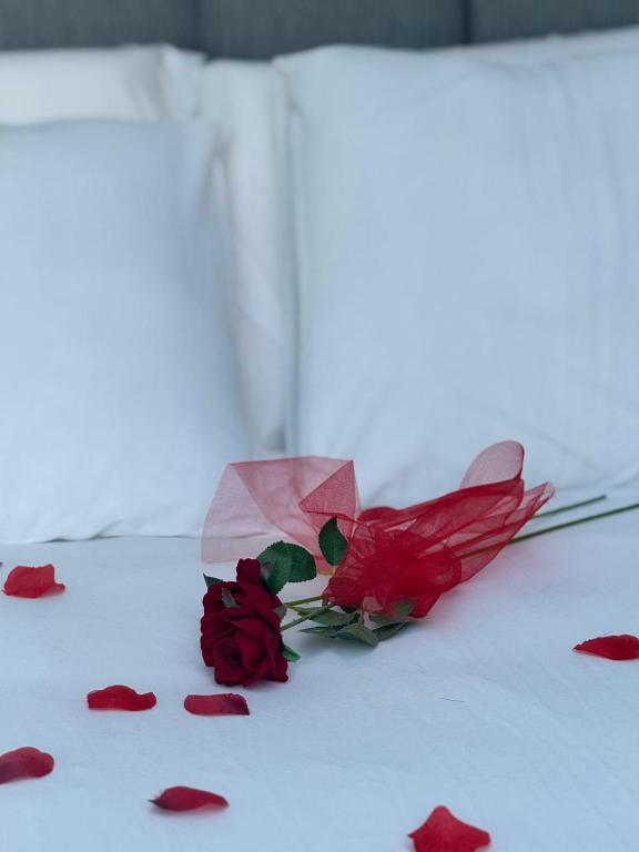 Postel nebo postele na pokoji v ubytování Glamping Monte Velino