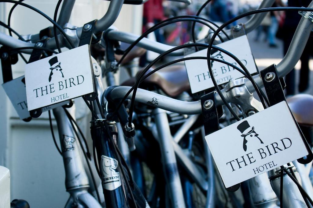 Hotel The Bird - Resim 27