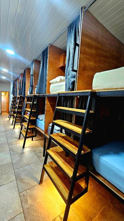 Palanda nebo palandy na pokoji v ubytování Blasina Beer Hostel