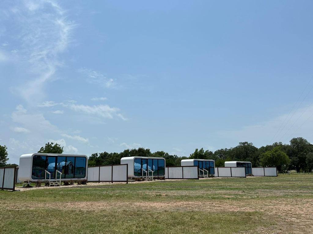 a row of blue and white buses in a field at Flatonia Glamping Retreat - Musk Tiny House - Unique Container Cabin in Flatonia