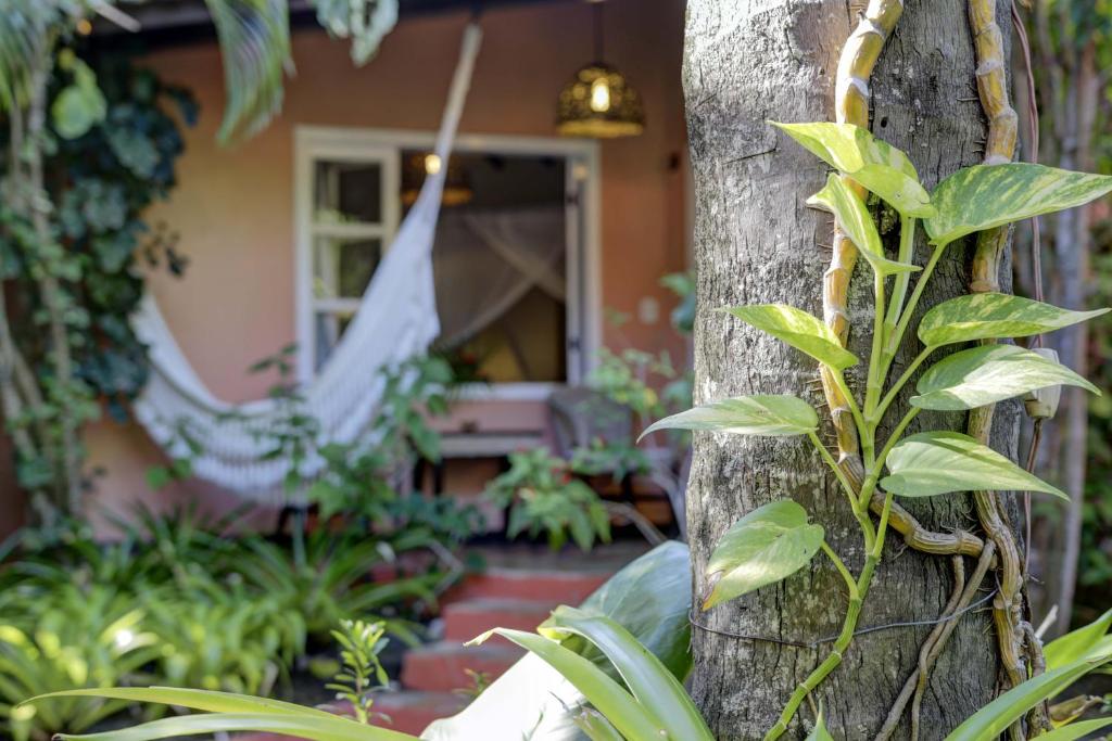 Zahrada ubytování Beijamar Praia Hotel