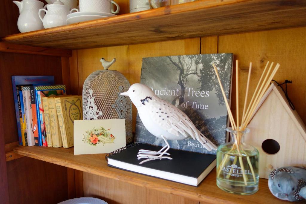 a shelf with a bird sitting on a book at Sparrow Sintra Nest in Sintra