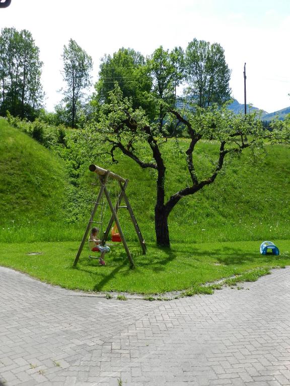 Příroda nedaleko penzionu