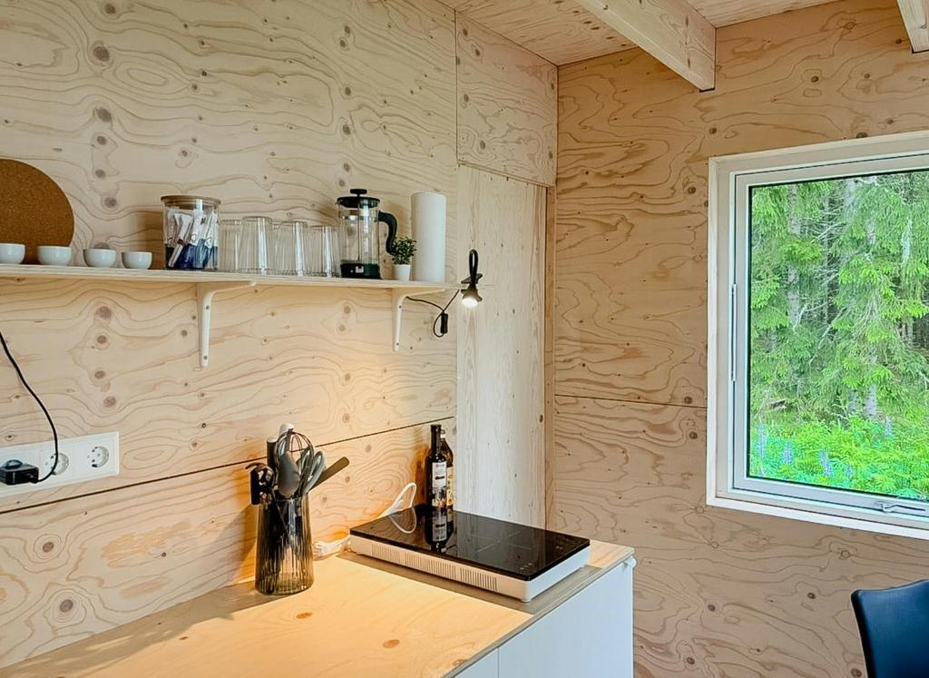 Kuchyň nebo kuchyňský kout v ubytování Minimalist Cabin With Forest Views In Arvika