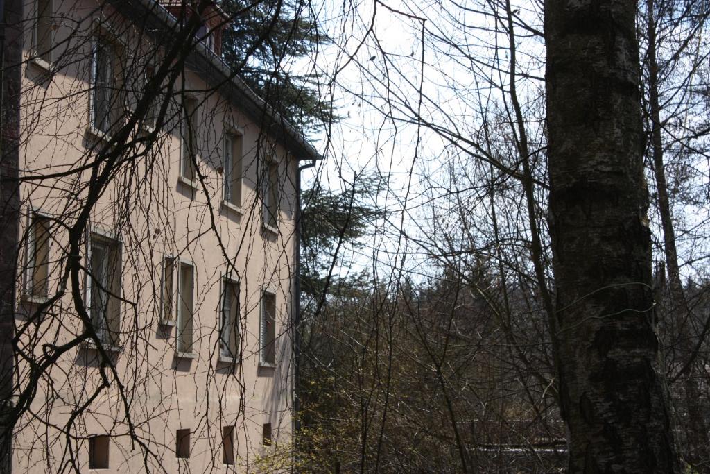 Fotografie z fotogalerie ubytování Gîte du moulin v destinaci Uhrwiller