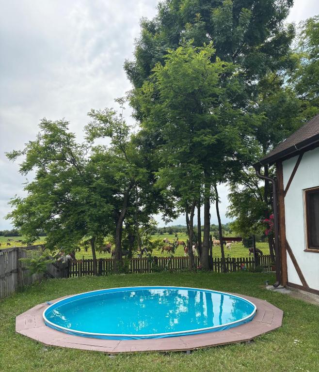 Bazén v ubytování Zasavčanka nebo v jeho okolí