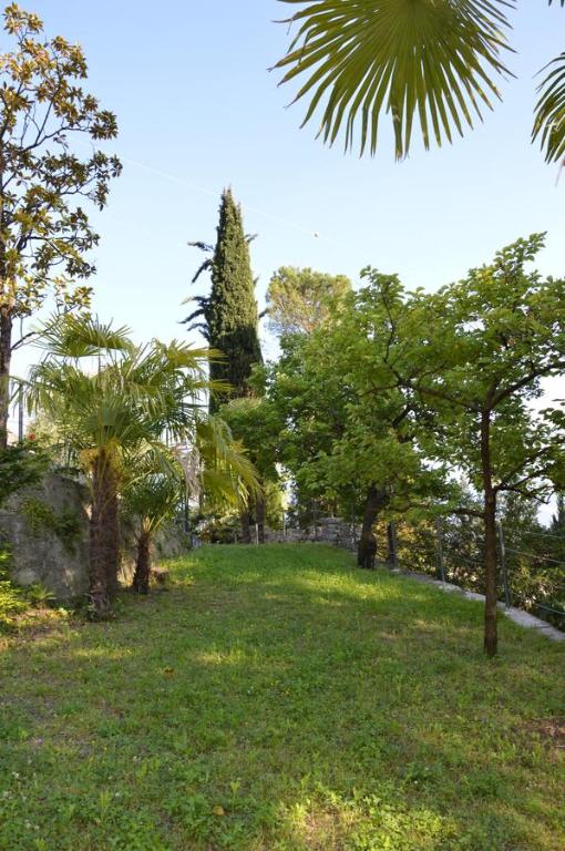 A garden outside Arco Climbing