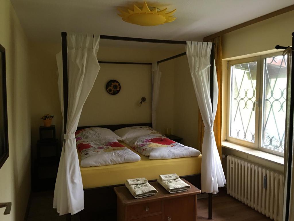 ein Schlafzimmer mit einem Himmelbett und einem Fenster in der Unterkunft Large Wuerzburg Apartment in Würzburg