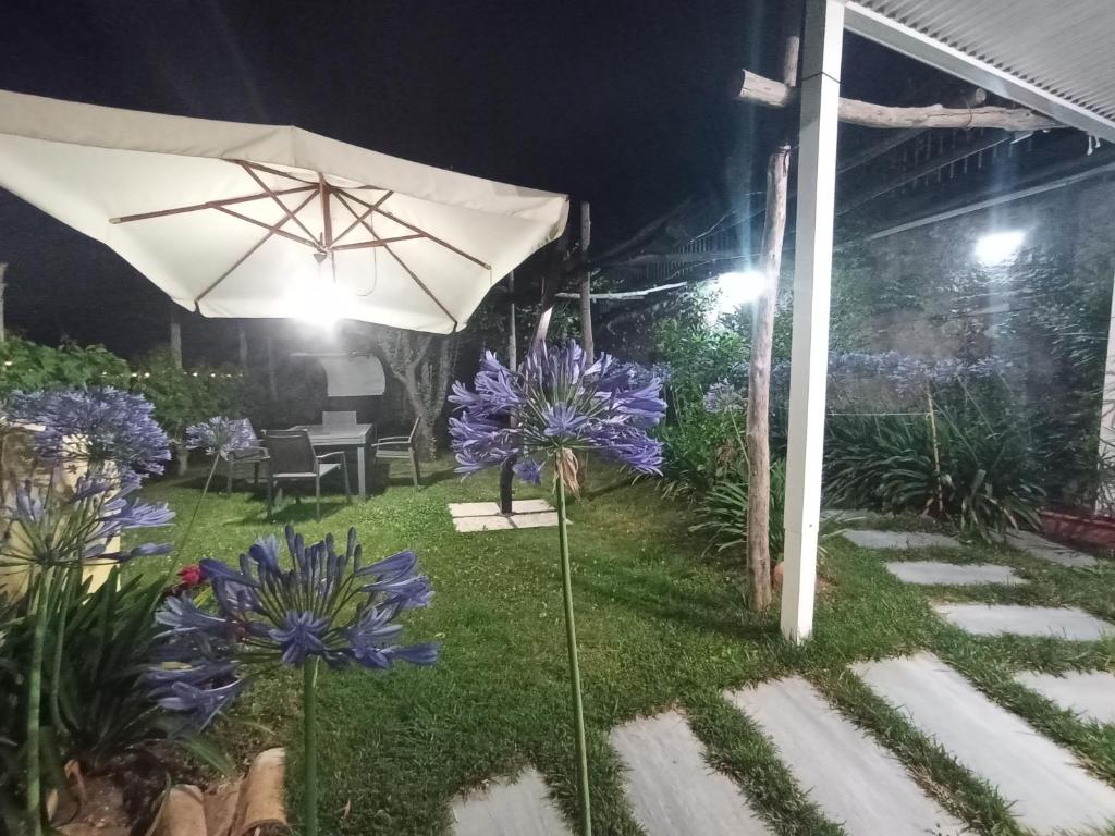 حديقة خارج Casa Mia