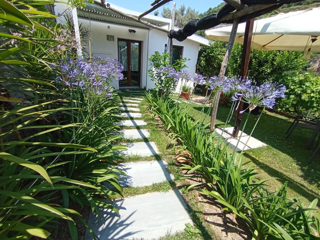 حديقة خارج Casa Mia