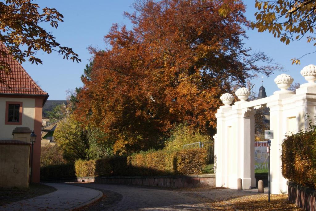 Fotografie z fotogalerie ubytování Hofgärtnerei v destinaci Altenburg