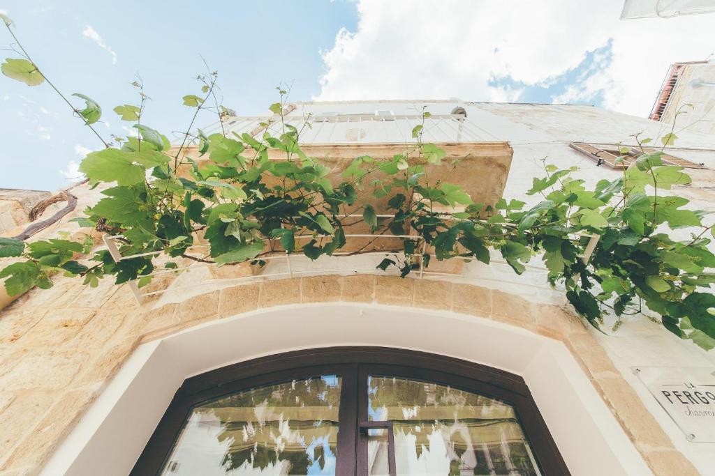 Fotografie z fotogalerie ubytování La pergola v destinaci Polignano a Mare