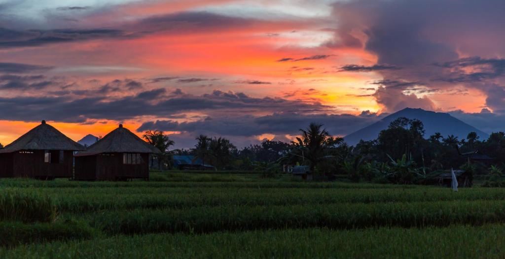 Solo Villas & Retreat - 6