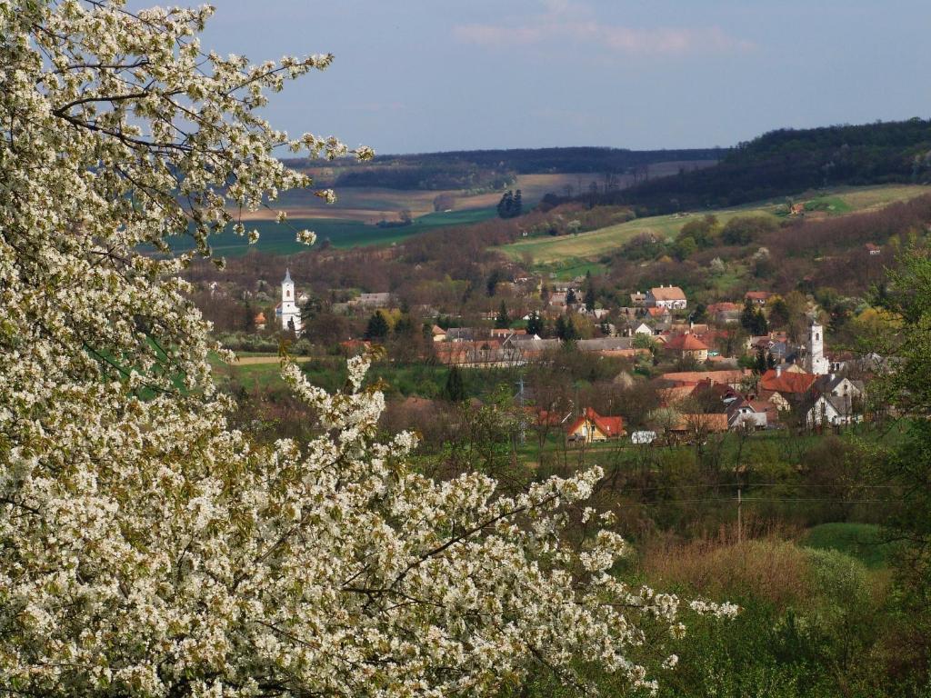 Příroda nedaleko venkovského domu