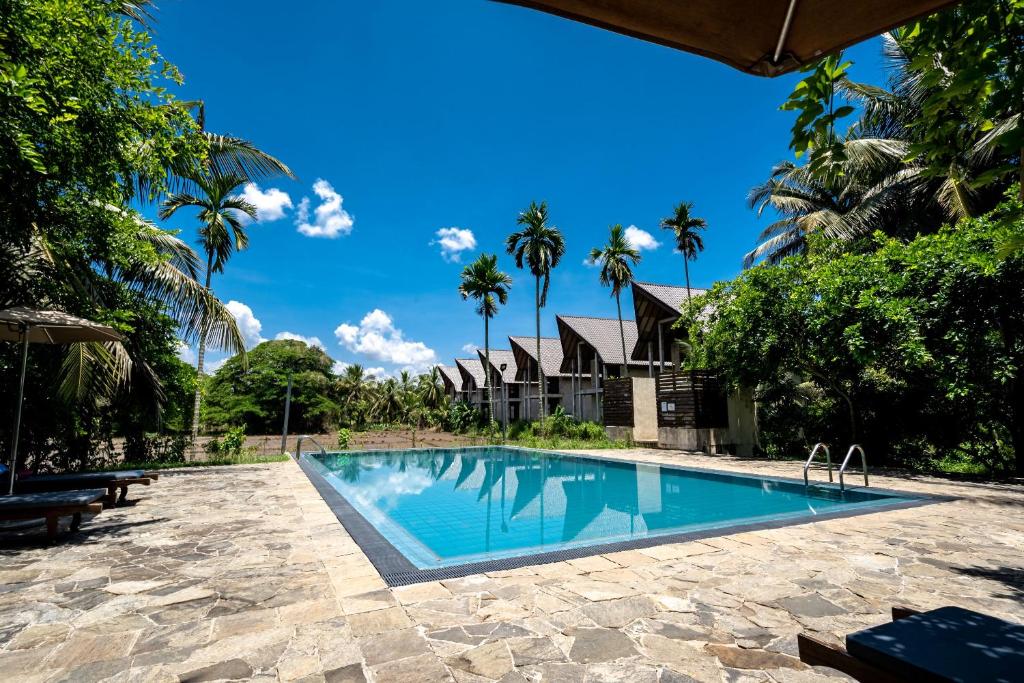 a swimming pool in front of a house with palm trees at Lavendish Wild Wilpattu in Nochchiyagama