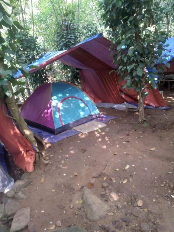 Zahrada ubytování Hideout Rawana Meenure