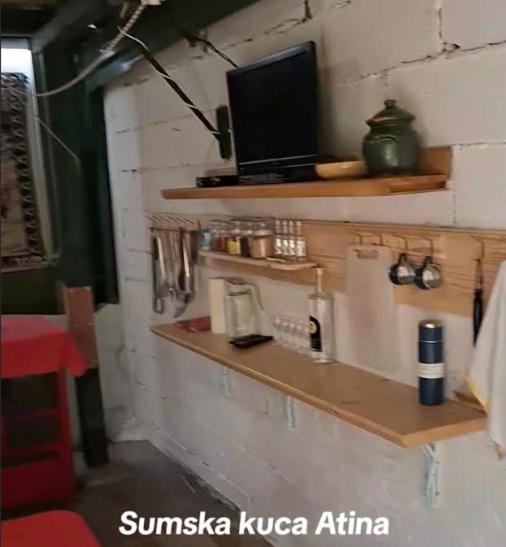 Kuchyň nebo kuchyňský kout v ubytování Šumska kuća Atina - Devojački Bunar