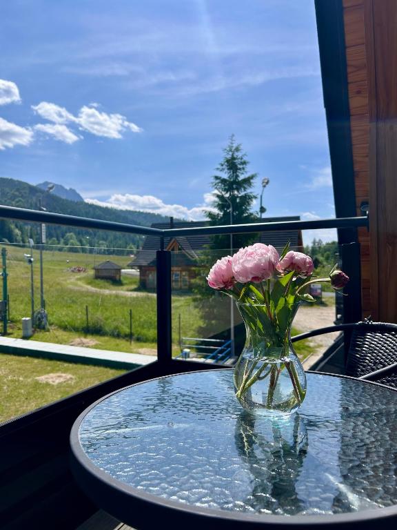 Apartamenty Polana pod Nosalem - zachód - 4