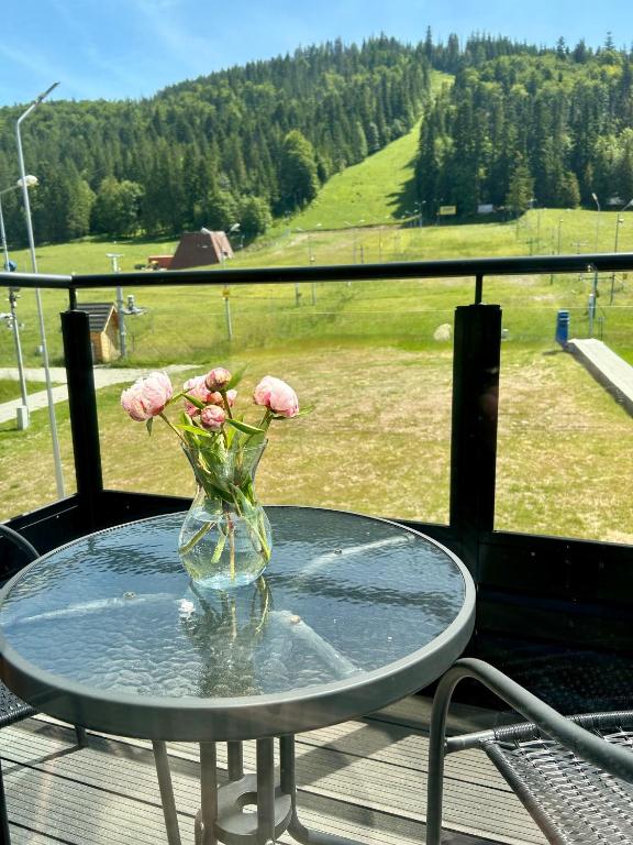 Apartamenty Polana pod Nosalem - zachód - 5