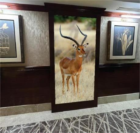 Queen Palace Hotel - Resim 20