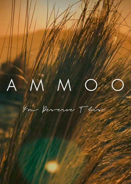 a picture of some tall grass next to the ocean at Ammoo in Amoopi