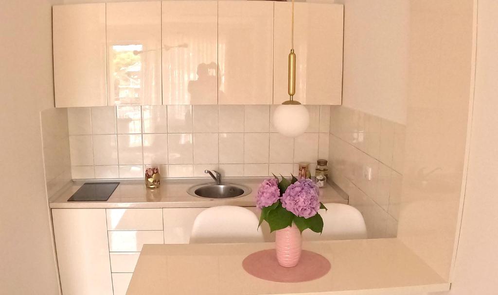 Fotografie z fotogalerie ubytování Apartman Nini v destinaci Kraljevo