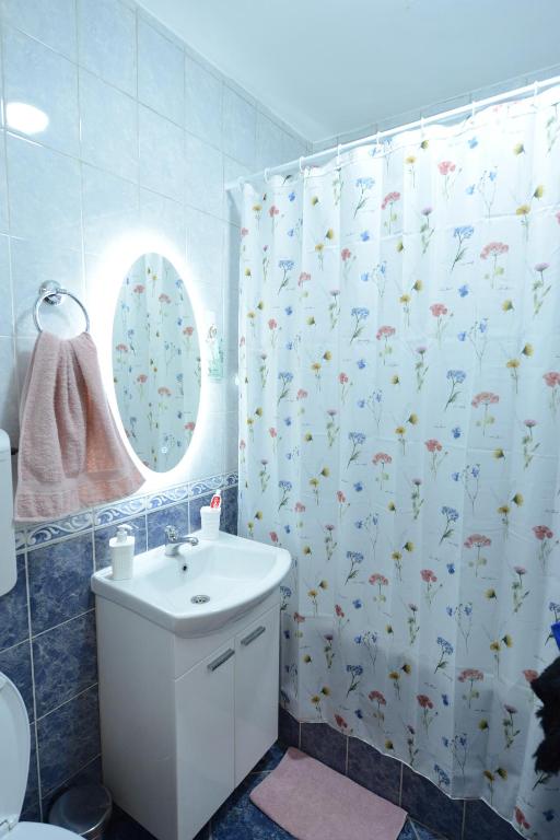 Koupelna v ubytování Apartman Nini