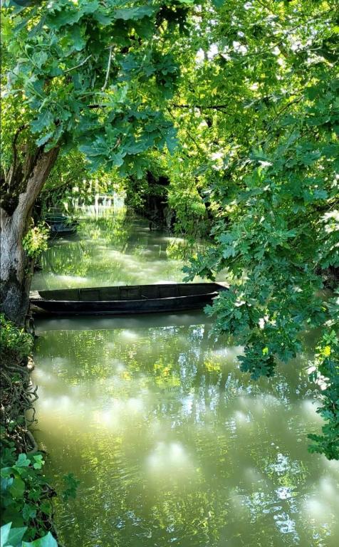 une masse d'eau avec un arbre au milieu dans l'établissement La chaume du marais poitevin avec barque green venice with boat, à Sansais