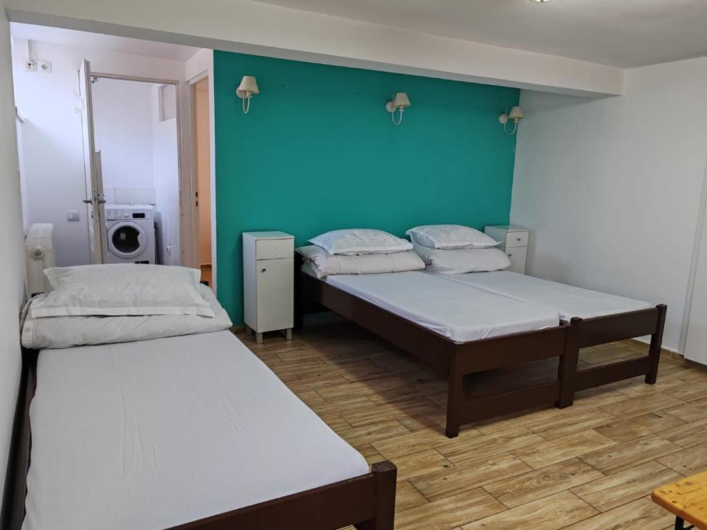 Postel nebo postele na pokoji v ubytování Casa Muresan