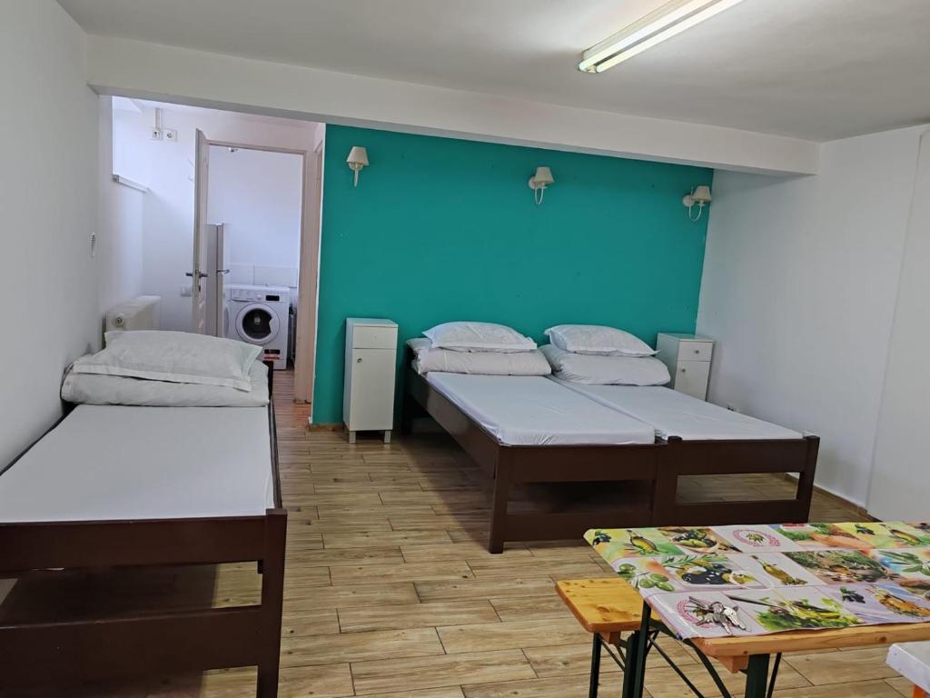 Postel nebo postele na pokoji v ubytování Casa Muresan